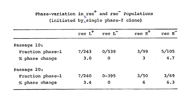 Phase Variation in rec+- Pop'ns initiated by a single phase2 clone